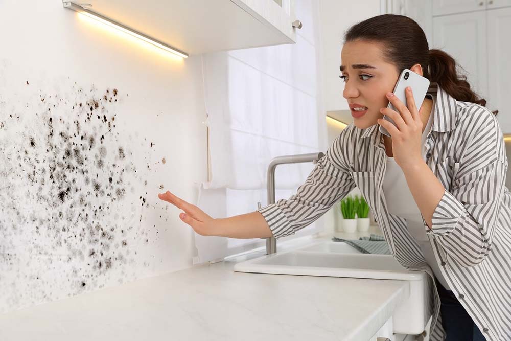 moldy kitchen interior
