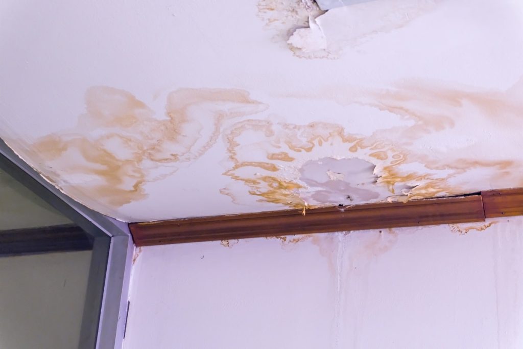 water-damaged walls/floors/ceilings