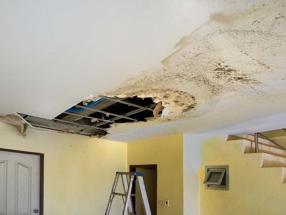 water-damaged home