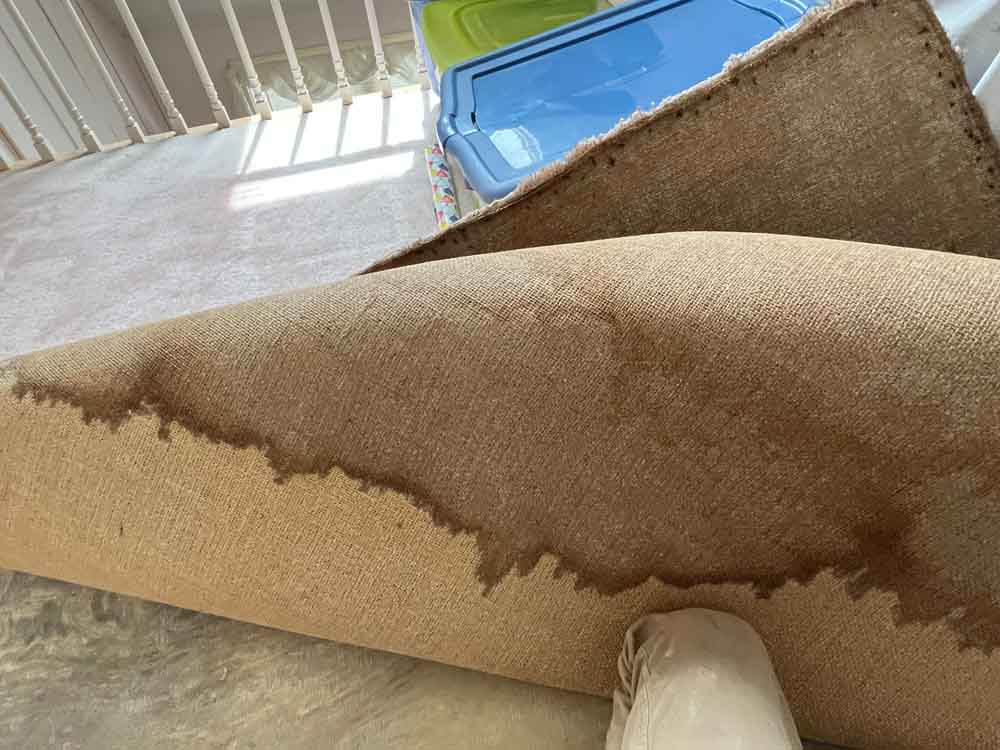 water-logged carpet